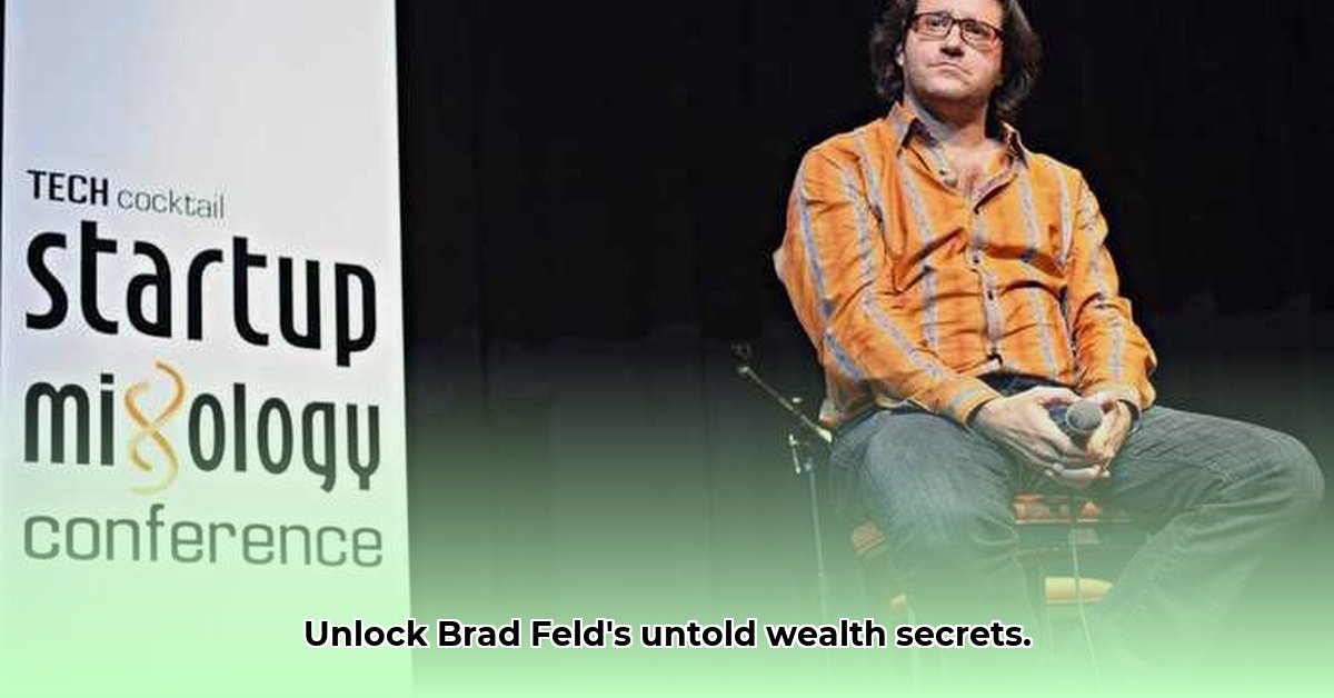 brad-feld-net-worth